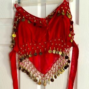 Belly Dance / Festival Wear 2 Piece Set